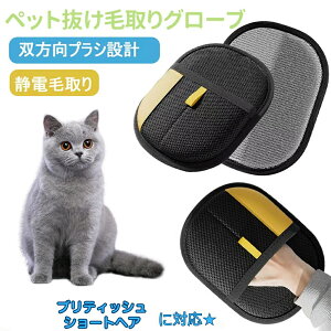 y5{|CgzArVjA Ar Abyssinian ybgpÓdC ybgpюO[u L̖ю ybgpiybg uV  O[uybg L  N[i[ тƂ y