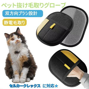 y5{|Cgz^[LbVAS Turkish Angora ybgpÓdC ybgpюO[u L̖ю ybgpiybg uV  O[uybg L  N[i[ тƂ