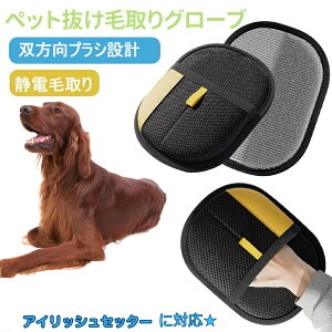 �u�ő�15%�I�t�N�[�|���v �A�C���b�V���E�Z�b�^�[�iIrish Setter�j �y�b�g�p�Ód�C������� �y�b�g�p�ю��O���[�u �L�̖ю���� �y�b�g�p�i�y�b�g �u���V ��� �O���[�u�y�b�g �L �� �N��