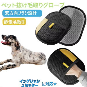 y5{|CgzCObVEZb^[iEnglish Setterj ybgpÓdC ybgpюO[u L̖ю ybgpiybg uV  O[uybg L  N[i[