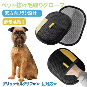 y5{|CgzubZOtH Brussels Griffon ybgpÓdC ybgpюO[u L̖ю ybgpiybg uV  O[uybg L  N[i[ 