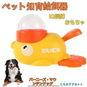 y10{|Cgzo[j[YE}EeEhbO Aq m狋a  IQP P ybgm炨 a@ a a GT  ybg a ŗV m ߋ  