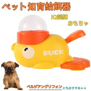 �y5�{�|�C���g�z�x���W�A���O���t�H���iBelgian Griffon�j �A�q�� �m�狋�a�� �������� IQ�P�� �P�� �y�b�g�m�炨������ �a���@ ���a�� �a �G�T ���� �y�b�g �a �����ŗV�� �m�� �ߋ� �������� 