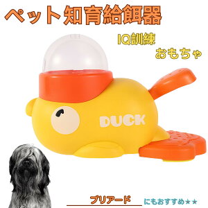 �y5�{�|�C���g�z�u���A�[�h�iBriard�j �A�q�� �m�狋�a�� �������� IQ�P�� �P�� �y�b�g�m�炨������ �a���@ ���a�� �a �G�T ���� �y�b�g �a �����ŗV�� �m�� �ߋ� �������� ���Ԓׂ� ����� 