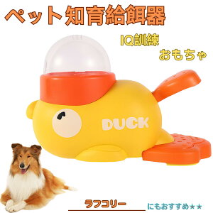 �y5�{�|�C���g�z���t�E�R���[�iRough Collie�j �A�q�� �m�狋�a�� �������� IQ�P�� �P�� �y�b�g�m�炨������ �a���@ ���a�� �a �G�T ���� �y�b�g �a �����ŗV�� �m�� �ߋ� �������� ���Ԓׂ� ��