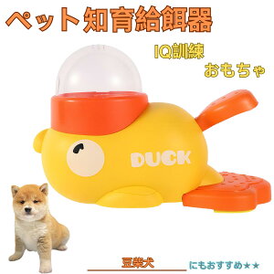 �y5�{�|�C���g�z���āiMameshiba / Mini Shiba Inu�j �A�q�� �m�狋�a�� �������� IQ�P�� �P�� �y�b�g�m�炨������ �a���@ ���a�� �a �G�T ���� �y�b�g �a �����ŗV�� �m�� �ߋ� �������� ���Ԓׂ� 