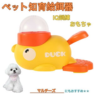 y5{|Cgz}`[YiMaltesej Aq m狋a  IQP P ybgm炨 a@ a a GT  ybg a ŗV m ߋ  Ԓׂ  