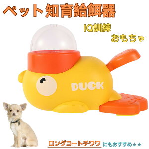 �y5�{�|�C���g�z�����O�R�[�g�`�����iLong Coat Chihuahua�j �A�q�� �m�狋�a�� �������� IQ�P�� �P�� �y�b�g�m�炨������ �a���@ ���a�� �a �G�T ���� �y�b�g �a �����ŗV�� �m�� �ߋ� �������� 