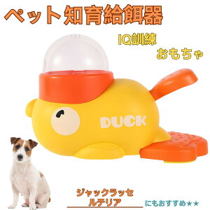 �W���b�N�E���b�Z���E�e���A �A�q�� �m�狋�a�� �������� IQ�P�� �P�� �y�b�g�m�炨������ �a���@ ���a�� �a �G�T ���� �y�b�g �a �����ŗV�� �m�� �ߋ� �������� ���Ԓׂ� ����� ���a�@ 