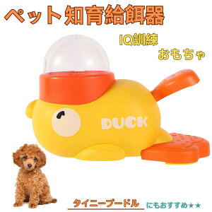 ^Cj[v[hiTiny Poodlej Aq m狋a  IQP P ybgm炨 a@ a a GT  ybg a ŗV m ߋ  Ԓׂ  a@ 