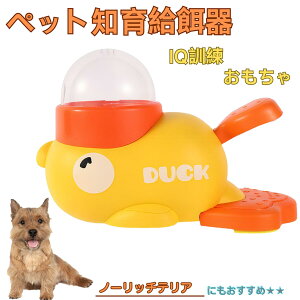 m[b`eAiNorwich Terrierj Aq m狋a  IQP P ybgm炨 a@ a a GT  ybg a ŗV m ߋ  Ԓׂ  a