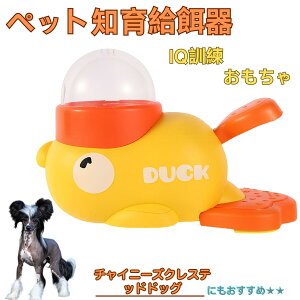 y10{|Cgz`Cj[YENXebhEhbO Aq m狋a  IQP P ybgm炨 a@ a a GT  ybg a ŗV m ߋ  