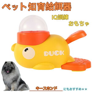 �y5�{�|�C���g�z�L�[�X�z���h�iKeeshond�j �A�q�� �m�狋�a�� �������� IQ�P�� �P�� �y�b�g�m�炨������ �a���@ ���a�� �a �G�T ���� �y�b�g �a �����ŗV�� �m�� �ߋ� �������� ���Ԓׂ� ����