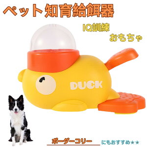 �y5�{�|�C���g�z�{�[�_�[�E�R���[�iBorder Collie�j �A�q�� �m�狋�a�� �������� IQ�P�� �P�� �y�b�g�m�炨������ �a���@ ���a�� �a �G�T ���� �y�b�g �a �����ŗV�� �m�� �ߋ� �������� ���Ԓ�