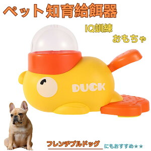 �y5�{�|�C���g�z�t�����`�E�u���h�b�O�iFrench Bulldog�j �A�q�� �m�狋�a�� �������� IQ�P�� �P�� �y�b�g�m�炨������ �a���@ ���a�� �a �G�T ���� �y�b�g �a �����ŗV�� �m�� �ߋ� �������� 