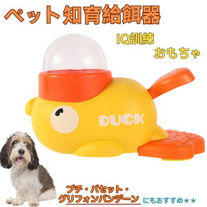 �y5�{�|�C���g�z�v�`�E�o�Z�b�g�E�O���t�H���E�o���f�[�� �A�q�� �m�狋�a�� �������� IQ�P�� �P�� �y�b�g�m�炨������ �a���@ ���a�� �a �G�T ���� �y�b�g �a �����ŗV�� �m�� �ߋ� ����