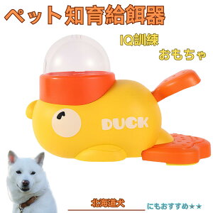 y10{|CgzkCiHokkaido Inuj Aq m狋a  IQP P ybgm炨 a@ a a GT  ybg a ŗV m ߋ  Ԓׂ 