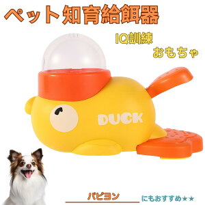 �p�s�����iPapillon�j �A�q�� �m�狋�a�� �������� IQ�P�� �P�� �y�b�g�m�炨������ �a���@ ���a�� �a �G�T ���� �y�b�g �a �����ŗV�� �m�� �ߋ� �������� ���Ԓׂ� ����� ���a�@ �􂦂� �� 