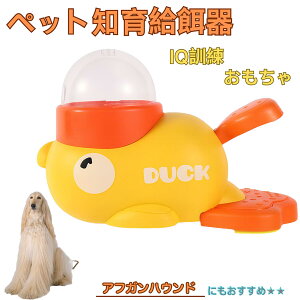 �y5�{�|�C���g�z�A�t�K���E�n�E���h�iAfghan Hound�j �A�q�� �m�狋�a�� �������� IQ�P�� �P�� �y�b�g�m�炨������ �a���@ ���a�� �a �G�T ���� �y�b�g �a �����ŗV�� �m�� �ߋ� �������� ����