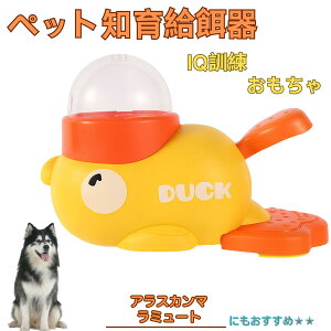 y10{|CgzAXJE}~[giAlaskan Malamutej Aq m狋a  IQP P ybgm炨 a@ a a GT  ybg a ŗV m ߋ 