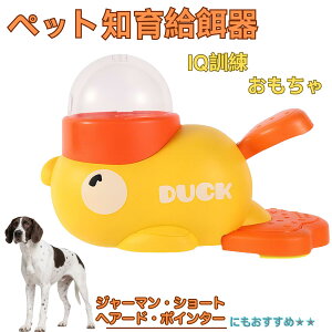 �y5�{�|�C���g�z�W���[�}���E�V���[�g�w�A�[�h�E�|�C���^�[ �A�q�� �m�狋�a�� �������� IQ�P�� �P�� �y�b�g�m�炨������ �a���@ ���a�� �a �G�T ���� �y�b�g �a �����ŗV�� �m�� �ߋ� ��