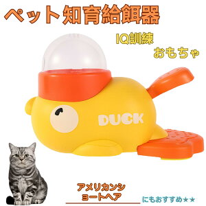 �A�����J���V���[�g�w�A American Shorthair �A�q�� �m�狋�a�� �������� IQ�P�� �P�� �y�b�g�m�炨������ �a���@ ���a�� �a �G�T ���� �y�b�g �a �����ŗV�� �m�� �ߋ� �������� ���Ԓׂ� �����