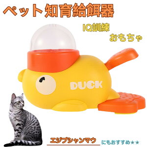 y10{|CgzGWvV}E Egyptian Mau Aq m狋a  IQP P ybgm炨 a@ a a GT  ybg a ŗV m ߋ  Ԓׂ 