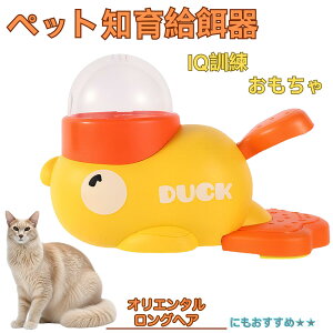 �I���G���^�������O�w�A Oriental Longhair �A�q�� �m�狋�a�� �������� IQ�P�� �P�� �y�b�g�m�炨������ �a���@ ���a�� �a �G�T ���� �y�b�g �a �����ŗV�� �m�� �ߋ� �������� ���Ԓׂ� ����� 