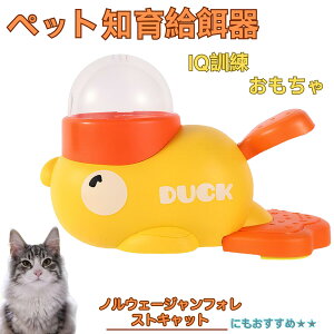 �y5�{�|�C���g�z�m���E�F�[�W�����t�H���X�g�L���b�g �A�q�� �m�狋�a�� �������� IQ�P�� �P�� �y�b�g�m�炨������ �a���@ ���a�� �a �G�T ���� �y�b�g �a �����ŗV�� �m�� �ߋ� �������� 