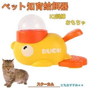 �y5�{�|�C���g�z�X�N�[�J�� Skookum �A�q�� �m�狋�a�� �������� IQ�P�� �P�� �y�b�g�m�炨������ �a���@ ���a�� �a �G�T ���� �y�b�g �a �����ŗV�� �m�� �ߋ� �������� ���Ԓׂ� ����� ���a