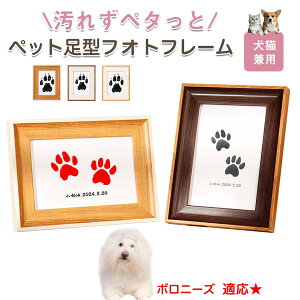 y10{|Cgz{j[YiBolognesej ybgp  X^v Lbg ^ X^v ``X^v `쐬Lbg LO  Ȃ `    ` ^ ȒP 