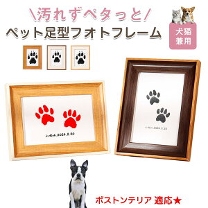 y10{|Cgz{XgeAiBoston Terrierj ybgp  X^v Lbg ^ X^v ``X^v `쐬Lbg LO  Ȃ `    ` ^