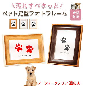 y10{|Cgzm[tH[NeAiNorfolk Terrierj ybgp  X^v Lbg ^ X^v ``X^v `쐬Lbg LO  Ȃ `    ` 