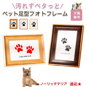 y10{|Cgzm[b`eAiNorwich Terrierj ybgp  X^v Lbg ^ X^v ``X^v `쐬Lbg LO  Ȃ `    ` ^