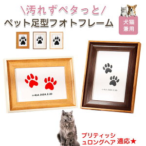 y10{|CgzueBbVOwA British Longhair ybgp  X^v Lbg ^ X^v ``X^v `쐬Lbg LO  Ȃ `    