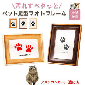 y10{|CgzAJJ[ American Curl ybgp  X^v Lbg ^ X^v ``X^v `쐬Lbg LO  Ȃ `    ` ^ 