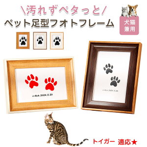 y10{|CgzgCK[ Toyger ybgp  X^v Lbg ^ X^v ``X^v `쐬Lbg LO  Ȃ `    ` ^ ȒP S 