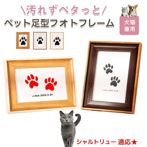 y10{|CgzVg[ Chartreux ybgp  X^v Lbg ^ X^v ``X^v `쐬Lbg LO  Ȃ `    ` ^ ȒP 