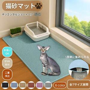 y5{|CgzIG^V[gwA Oriental Shorthair L}bg }bg 唻  gC}bg LLb`[ Uh~ LgCpi ybg d\  юUh~ 