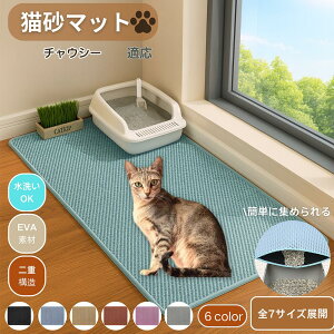 y5{|Cgz`EV[ Chausie L}bg }bg 唻  gC}bg LLb`[ Uh~ LgCpi ybg d\  юUh~ | |y gC}b