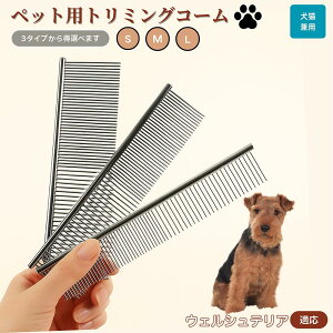 EFVeAiWelsh Terrierj ybgpi uV R[ p Lp O[~O g~O  ubVO  ю ыʎ m~ }bT[W Nێ Lp 