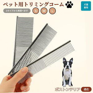 {XgeAiBoston Terrierj ybgpi uV R[ p Lp O[~O g~O  ubVO  ю ыʎ m~ }bT[W Nێ Lp 