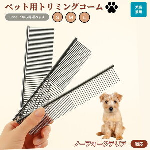 y5{|Cgzm[tH[NeAiNorfolk Terrierj ybgpi uV R[ p Lp O[~O g~O  ubVO  ю ыʎ m~ }bT[W 