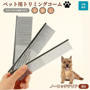 y10{|Cgzm[b`eAiNorwich Terrierj ybgpi uV R[ p Lp O[~O g~O  ubVO  ю ыʎ m~ }bT[W 