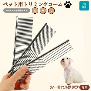 V[neAiSealyham Terrierj ybgpi uV R[ p Lp O[~O g~O  ubVO  ю ыʎ m~ }bT[W Nێ Lp 