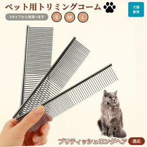 y10{|CgzueBbVOwA British Longhair ybgpi uV R[ p Lp O[~O g~O  ubVO  ю ыʎ m~ }bT[