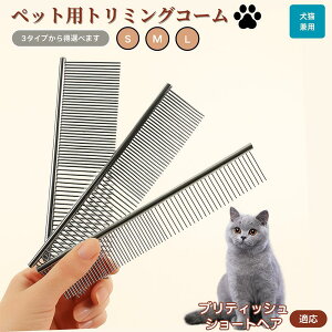y10{|CgzueBbVV[gwA British Shorthair ybgpi uV R[ p Lp O[~O g~O  ubVO  ю ыʎ m~ }bT