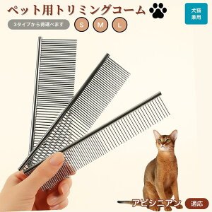 y10{|CgzArVjA Abyssinian ybgpi uV R[ p Lp O[~O g~O  ubVO  ю ыʎ m~ }bT[W Nێ L