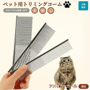 y10{|CgzAJJ[ American Curl ybgpi uV R[ p Lp O[~O g~O  ubVO  ю ыʎ m~ }bT[W Nێ