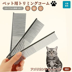 y5{|CgzAJV[gwA American Shorthair ybgpi uV R[ p Lp O[~O g~O  ubVO  ю ыʎ m~ }bT[W